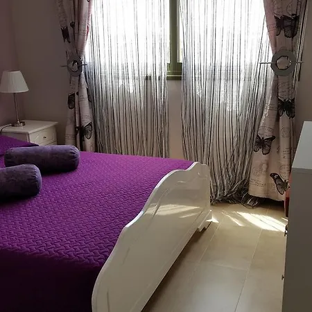 Danaos 303